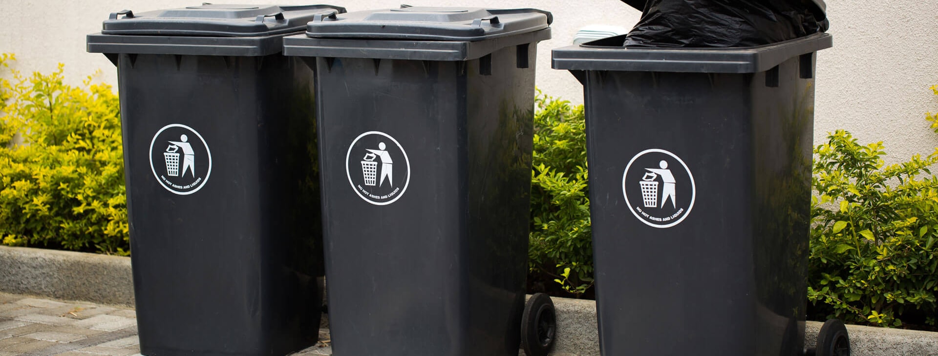 three plastic garbage cans on a concrete slab in front of bushes for the durable goods market